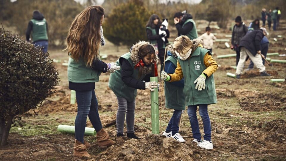 Life Terra bomen planten