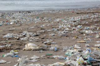plastic scheiden