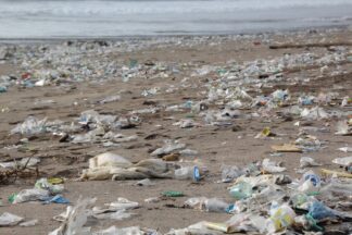 plastic scheiden