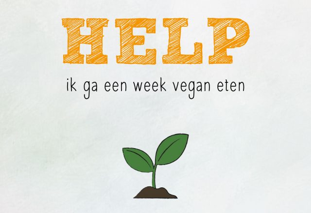 vlog vegan