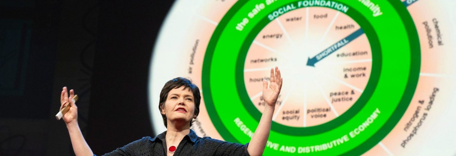 donuteconomie van Kate Raworth