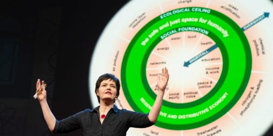 donuteconomie van Kate Raworth