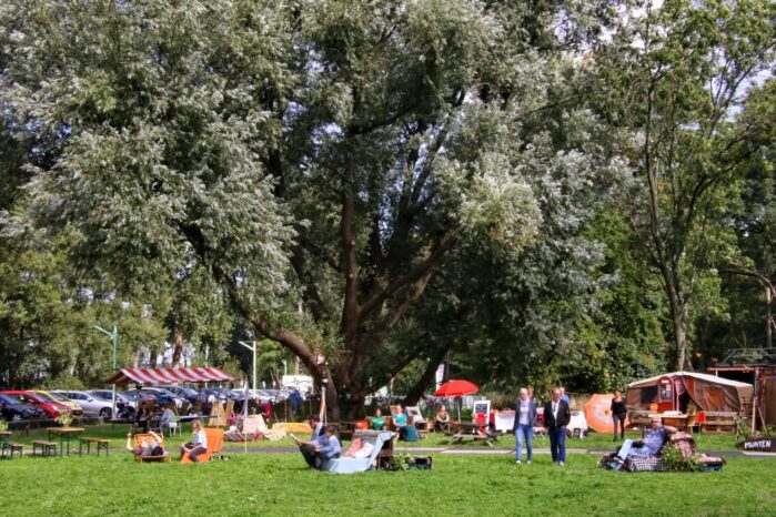 Festival in een park