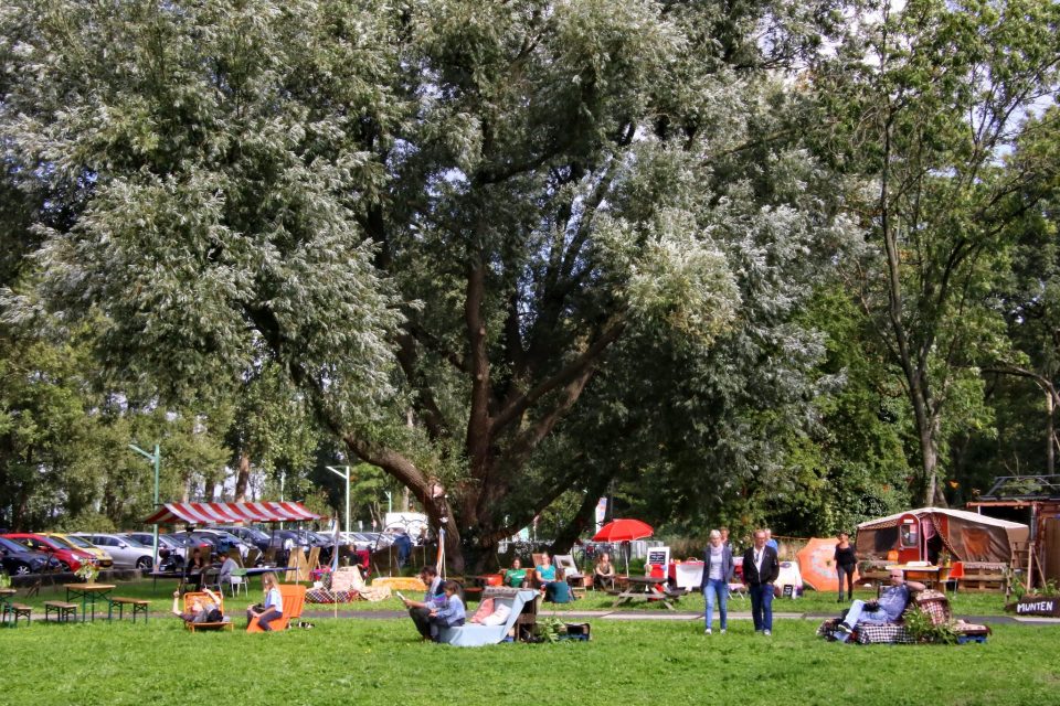 Festival in een park