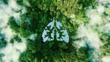 duurzame zorgverzekering