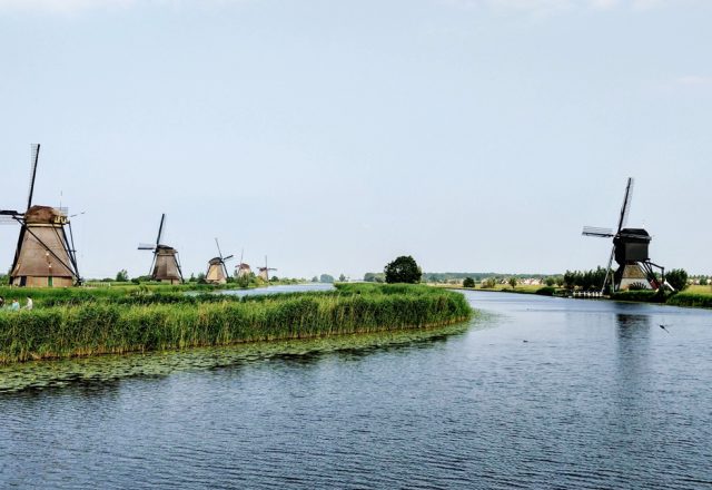 De Nieuwe Businessagenda