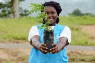 Land Life Company herbebossing