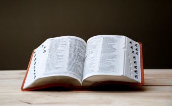 woordenboek_socco,warmhartig,plotsbond