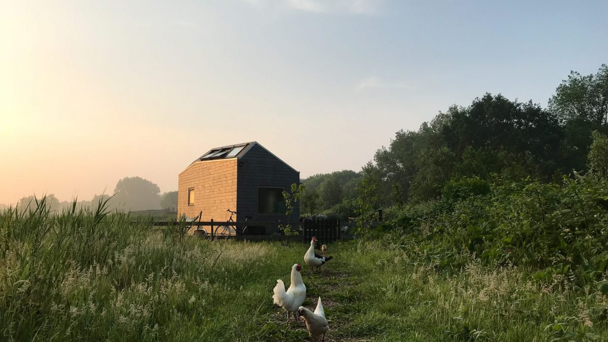 tiny house nederland