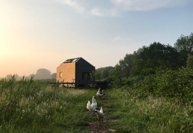 tiny house nederland