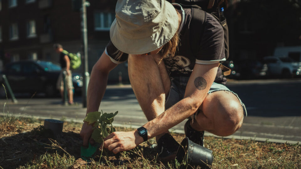 Guerrilla Gardening