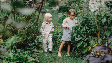 regeneratief onderwijs