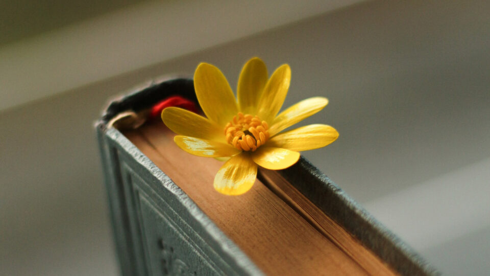 boeken betere wereld