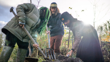 Treevember - The Pollinators