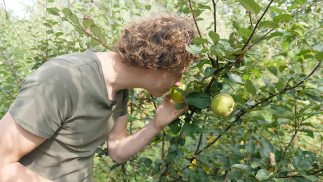 Voedselbos Den Food Bosch