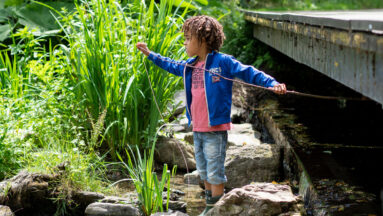 leervrijheid kinderen