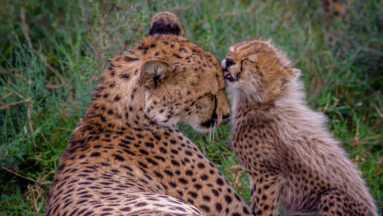 Positief nieuws MaatschapWij