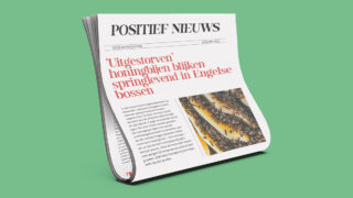 Positief nieuws MaatschapWij