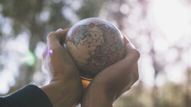 Regeneratieve organisatie