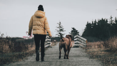 boeken goede voornemens