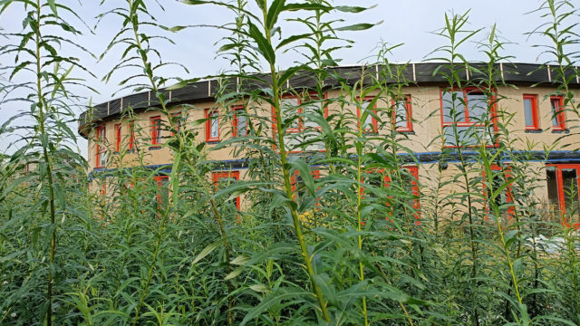 Ecodorp Boekel