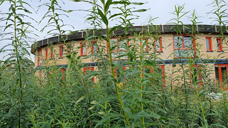 Ecodorp Boekel