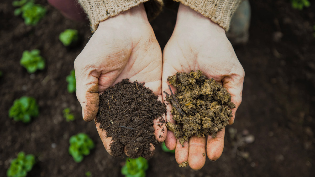 genoeg-eten-en-toch-ondervoed-zo-maken-we-een-einde-aan-hidden-hunger