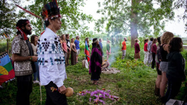 Regeneratie Coöperatie