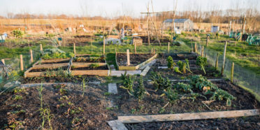 regeneratieve landbouw