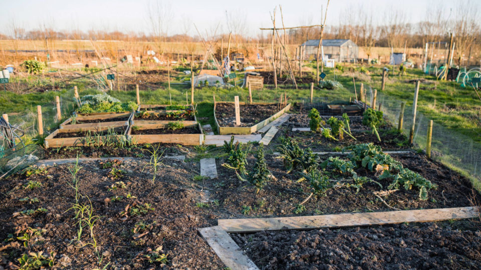regeneratieve landbouw