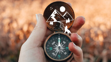 in 8 stappen naar een regeneratieve organisatie