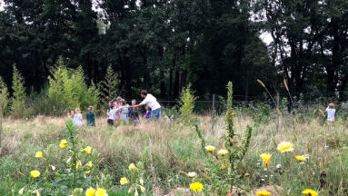 Ecodorp Boekel - zelfvoorzienend wonen