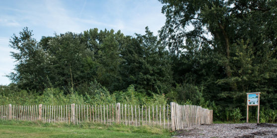Daan Bleichrodt