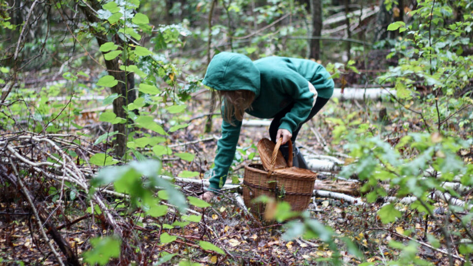 Wildplukken ethiek