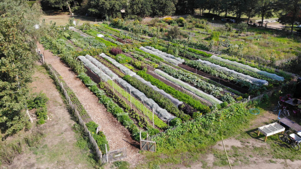 CSA-boerderij